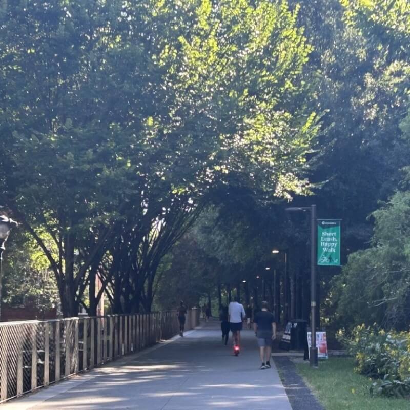 Atlanta_Beltline_Tree lined section of the Path